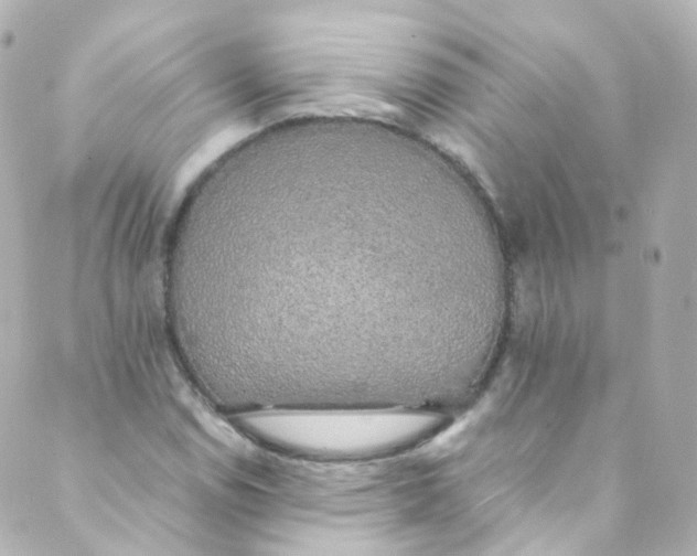 X0000088841114200706281814