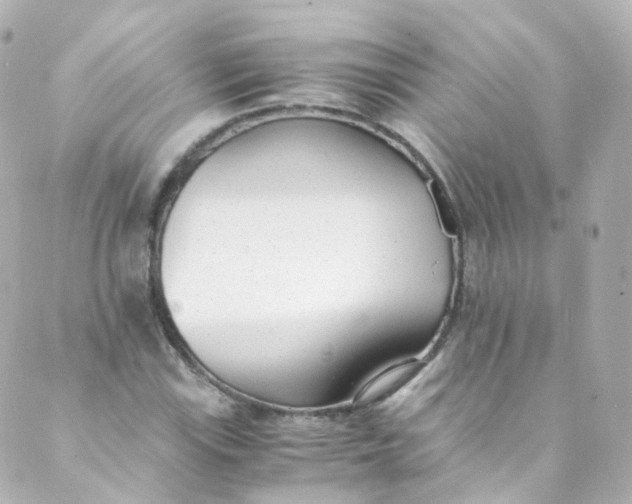 X0000088841115200706281814