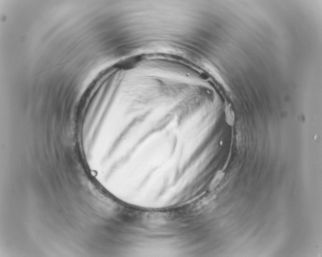 X0000088841116200706281814