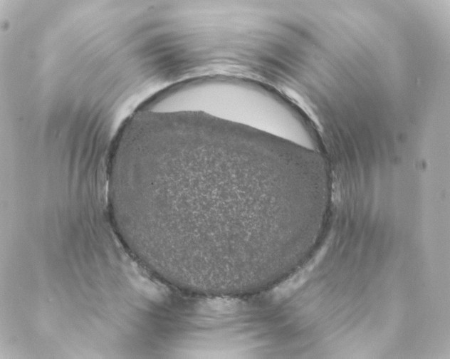 X0000088841117200706281814