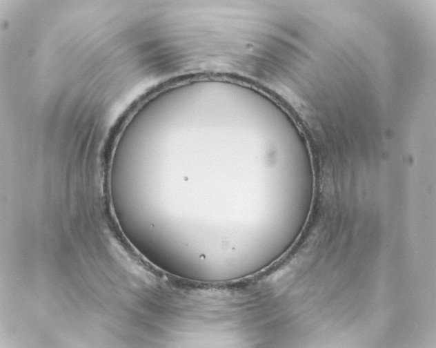 X0000088841118200706281814