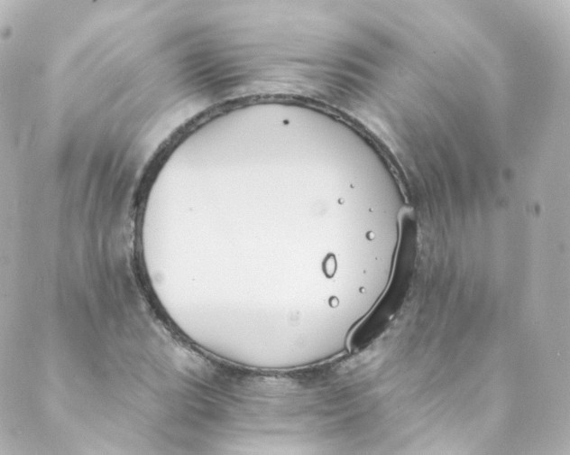 X0000088841119200706281814