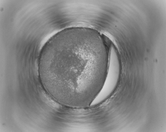 X0000088841120200706281814