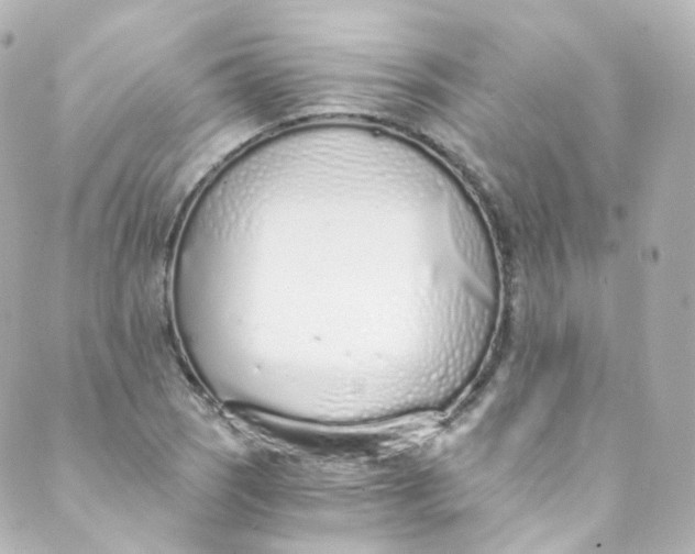 X0000088841121200706281814