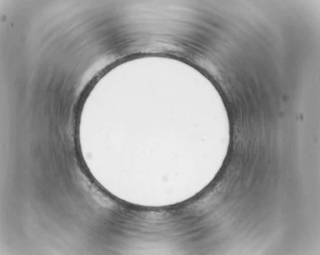 X0000088841122200706281814