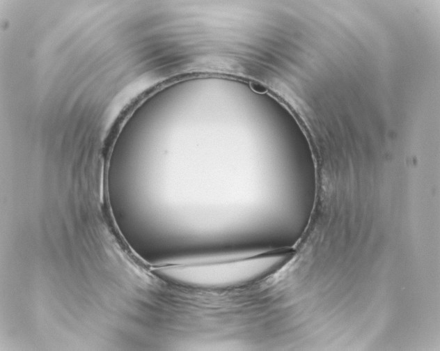 X0000088841123200706281815