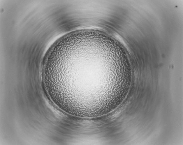 X0000088841124200706281815