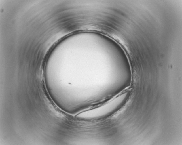 X0000088841125200706281815