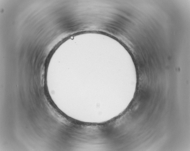 X0000088841126200706281815