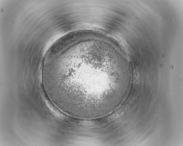 X0000088841128200706281815