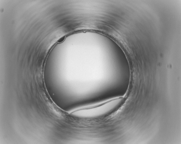 X0000088841129200706281815