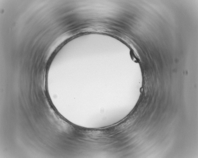 X0000088841131200706281815