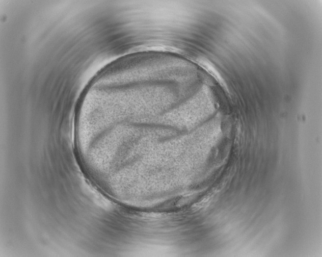 X0000088841132200706281815