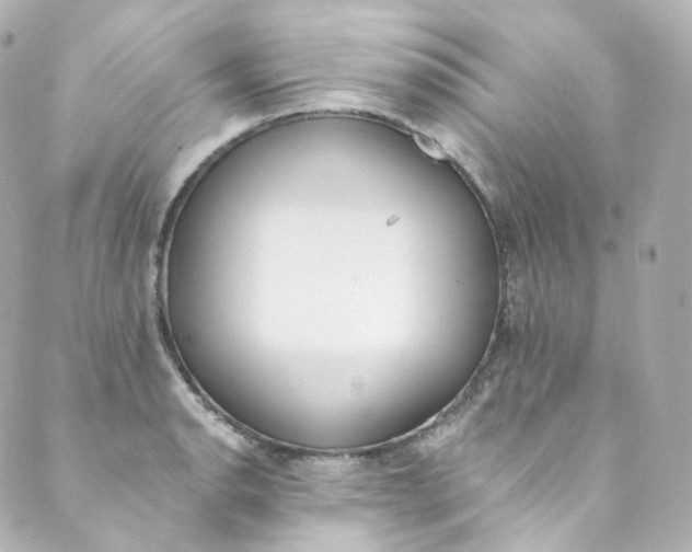 X0000088841134200706281815