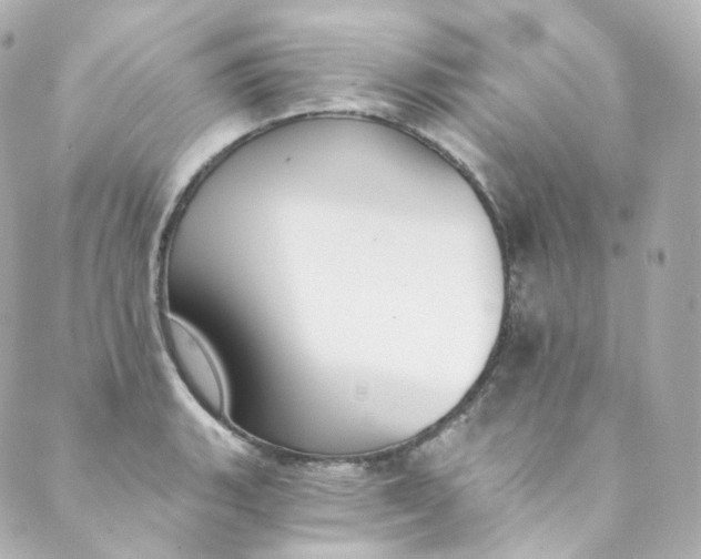 X0000088841135200706281815