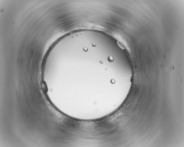 X0000088841136200706281815