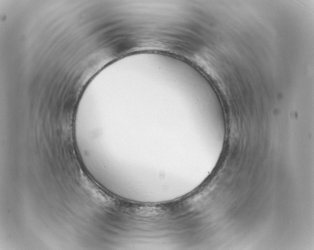 X0000088841137200706281815