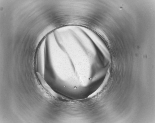 X0000088841138200706281815