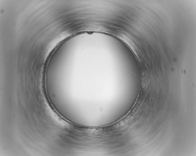 X0000088841139200706281815