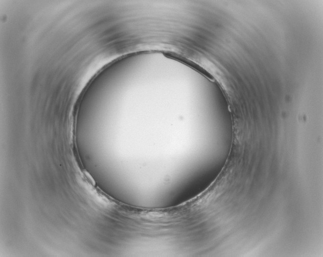 X0000088841140200706281815