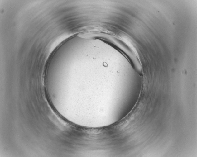 X0000088841141200706281815