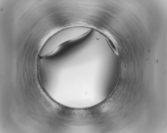 X0000088841142200706281815