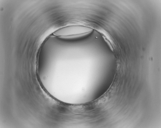 X0000088841143200706281815