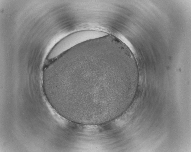 X0000088841144200706281815