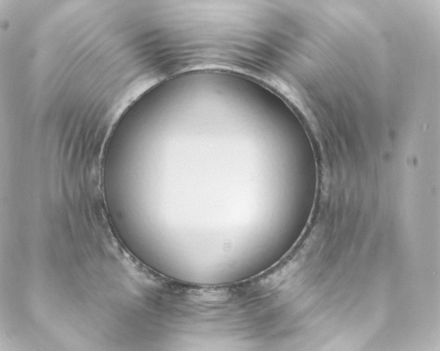 X0000088841145200706281815