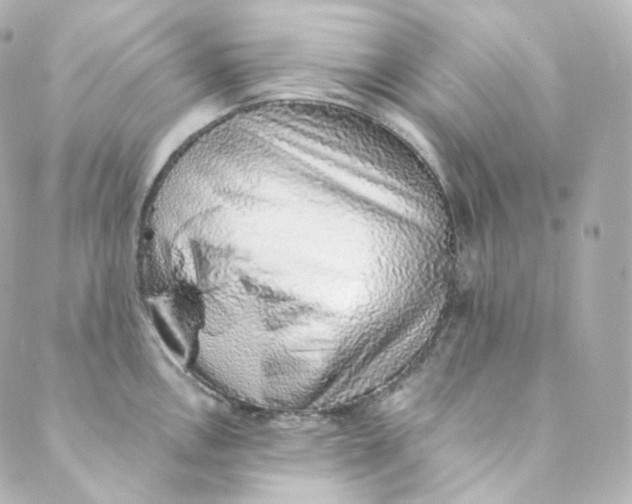 X0000088841146200706281815