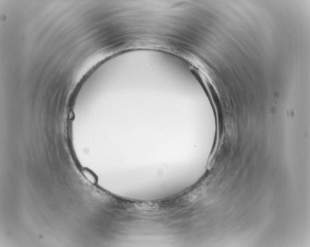 X0000088841147200706281815