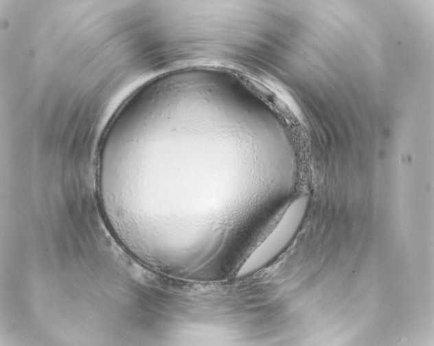 X0000088841148200706281815