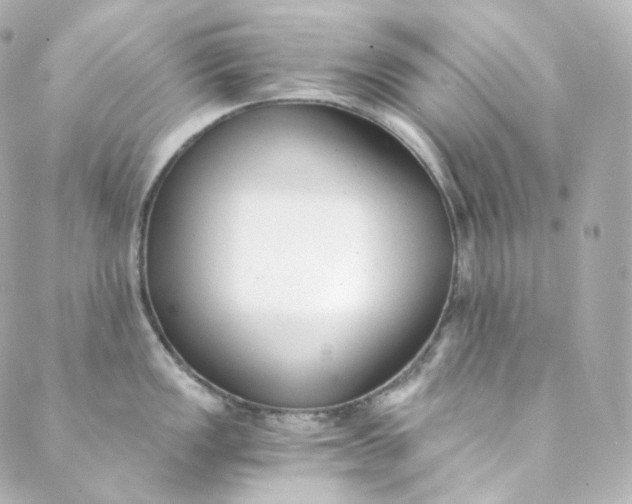 X0000088841149200706281815