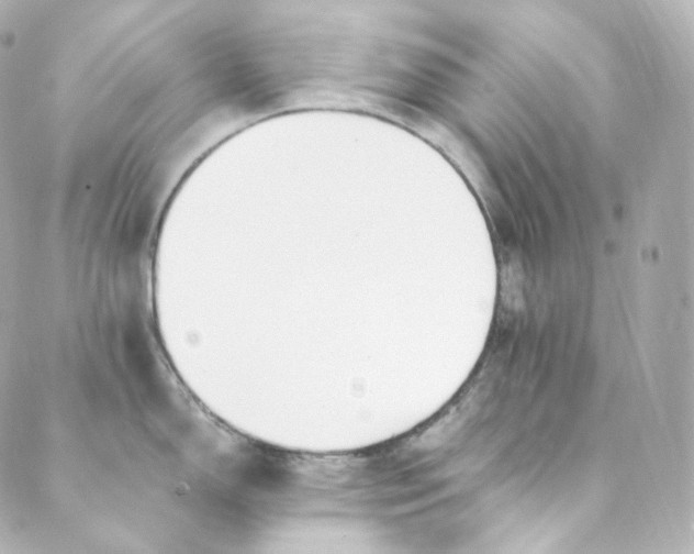 X0000088841150200706281815