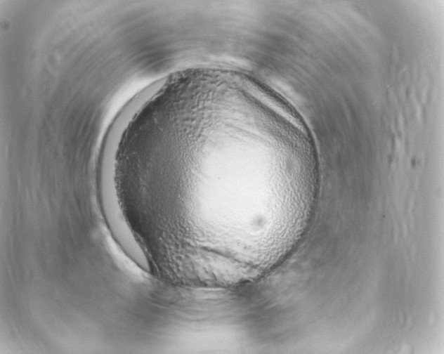 X0000088841152200706281815