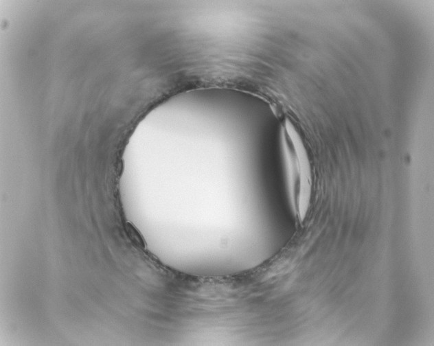 X0000088841153200706281814