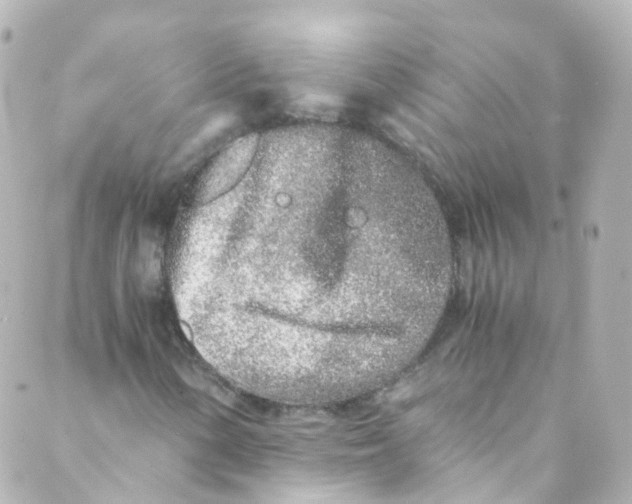 X0000088841154200706281814