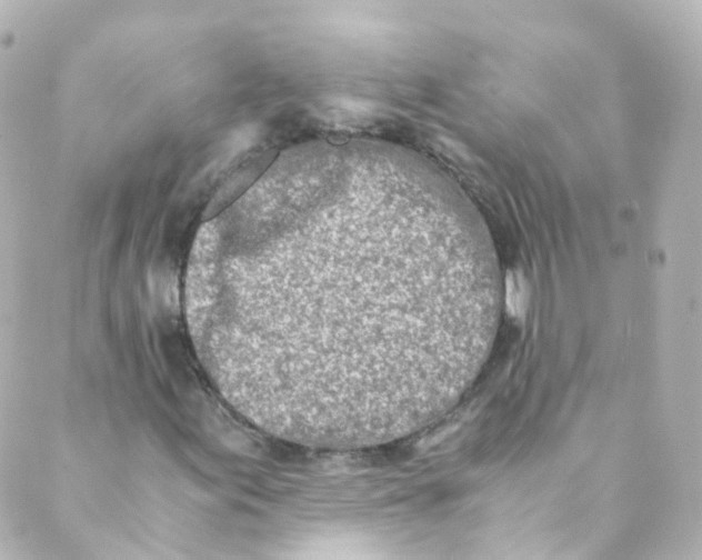 X0000088841155200706281814