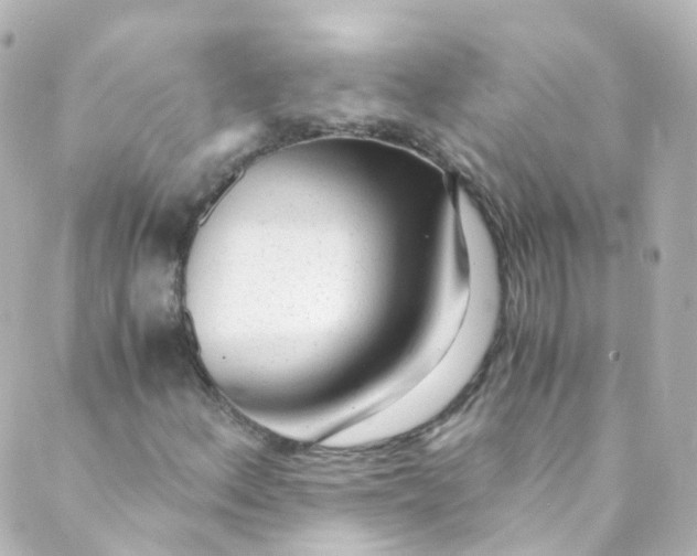 X0000088841156200706281814