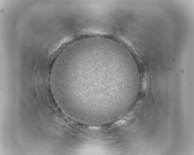 X0000088841157200706281814