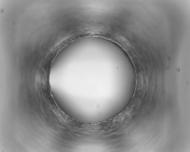 X0000088841158200706281814