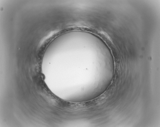 X0000088841159200706281814