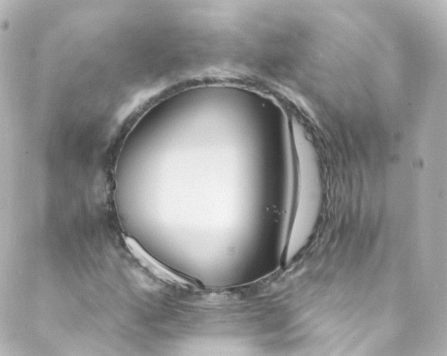 X0000088841160200706281814