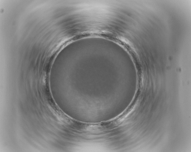 X0000088841161200706281814