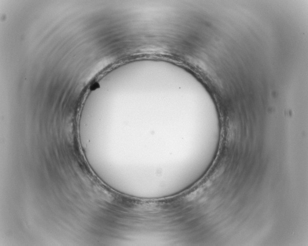 X0000088841162200706281814