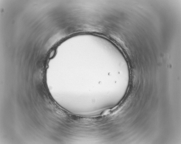 X0000088841163200706281814