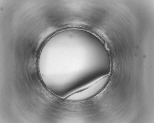 X0000088841164200706281814