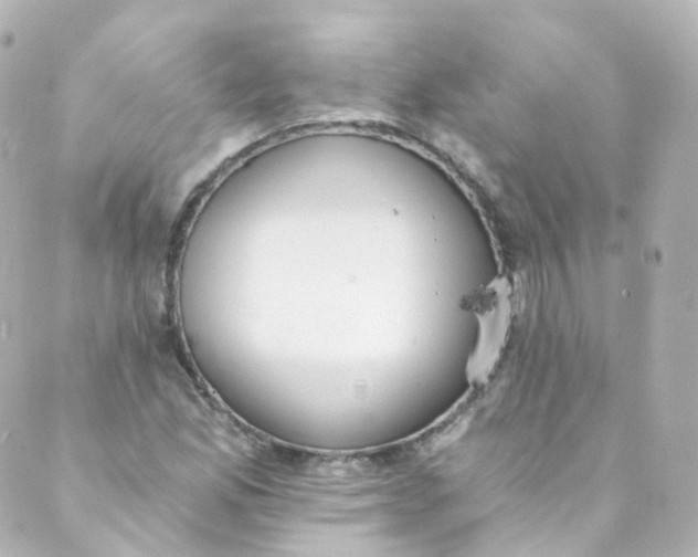 X0000088841165200706281814