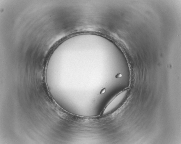 X0000088841166200706281814