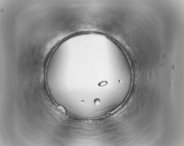 X0000088841167200706281814